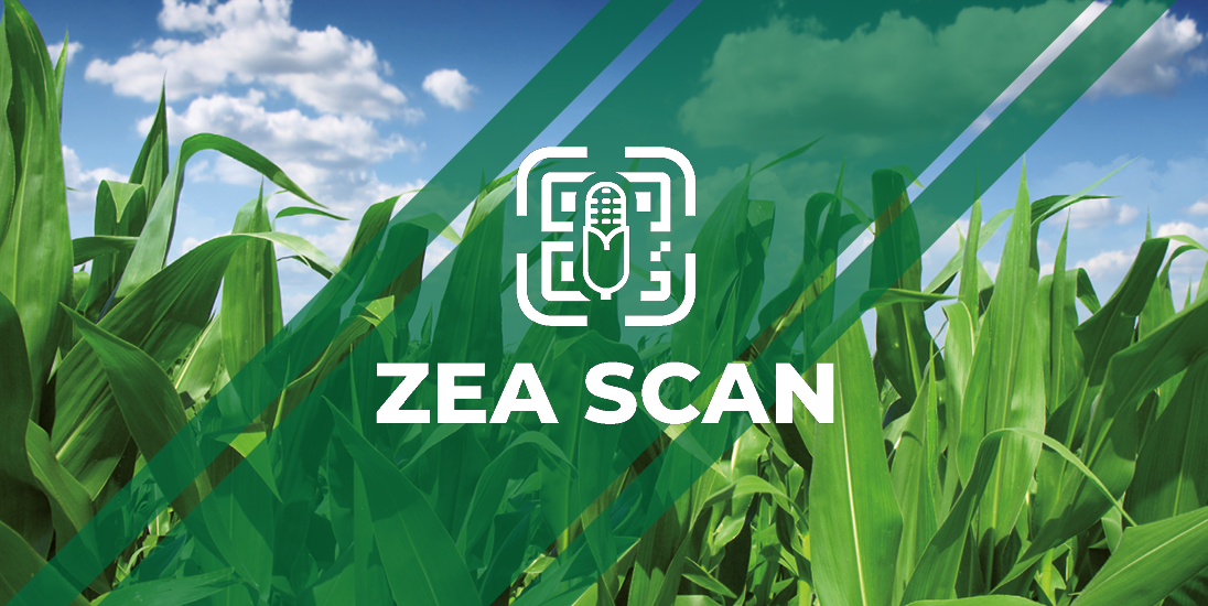 une photo d'un champ de mais avec le logo ZeaScan d'Ascenza