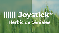 Logo Joystick