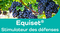 Logo Equiset