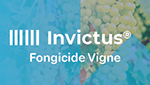 logo invictus vigne