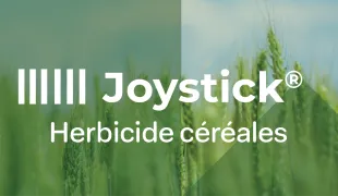 une vue d'un champ de céréales à épiaison avec le texte "Joystick® - Herbicide céréales"