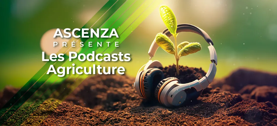 Ascenza lance une série de Podcasts