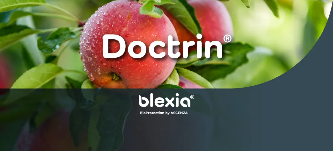 Un montage photo présentant un pommier avec une pomme rouge en avant, le logo Blexia au milieu et le logo du produit Doctrin