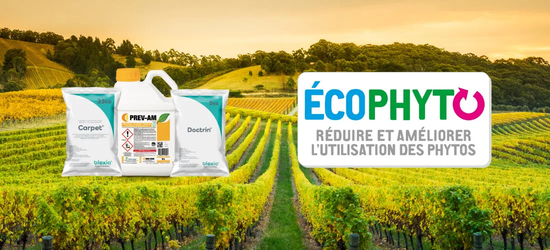 un montage d'une photo de vigne avec des emballages de Doctrin, PREV-AM Ultra et de Carpet et le logo Ecophytopic