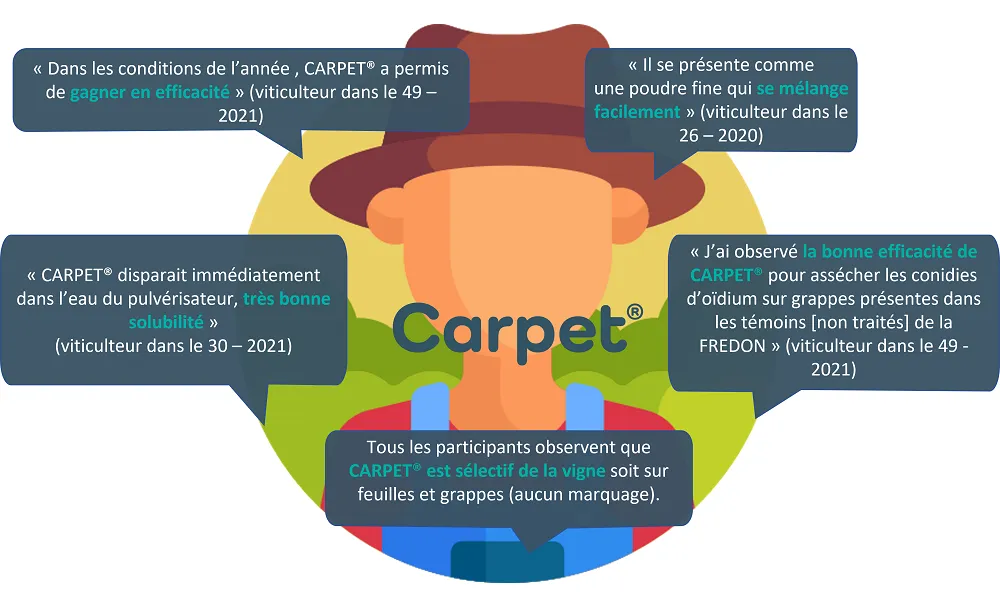 carpet_fr