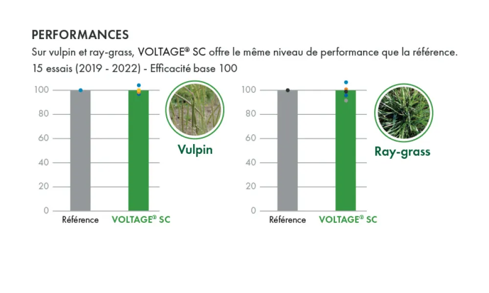 Voltage SC Performances