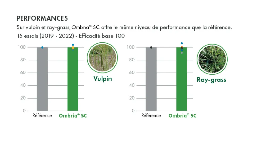 graphiques des performances d'Ombria SC contre les vulpins et ray grass