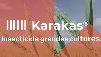 logo Karakas