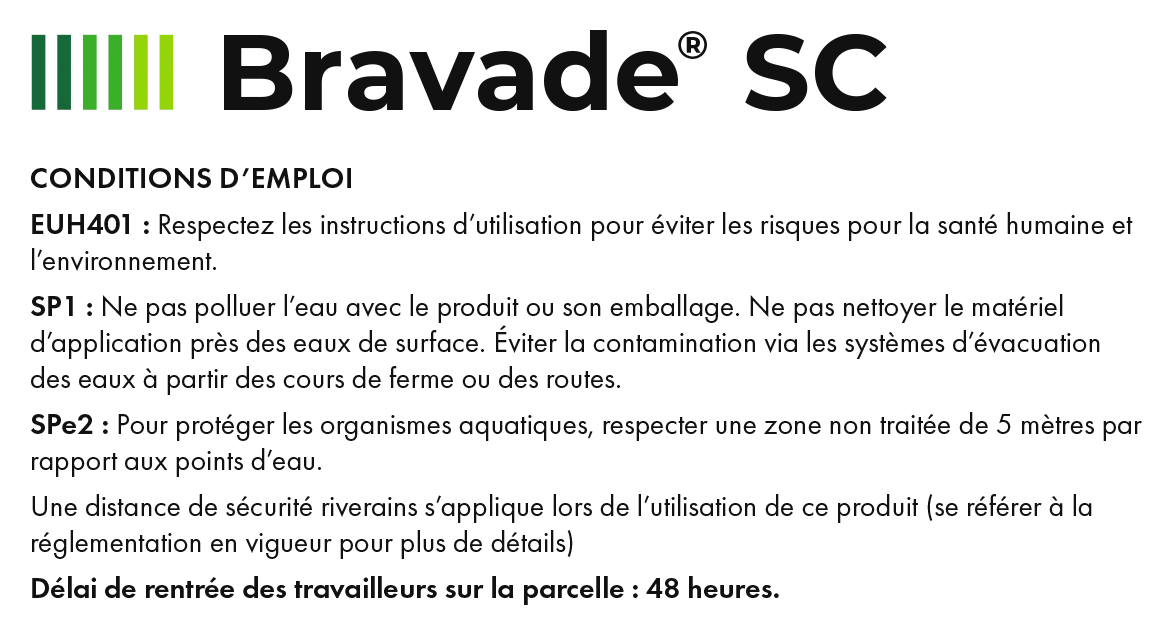 Bravade_8