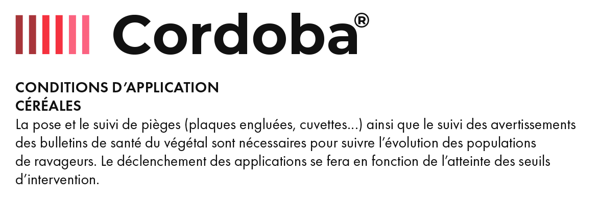 Cordoba_Conditions_1