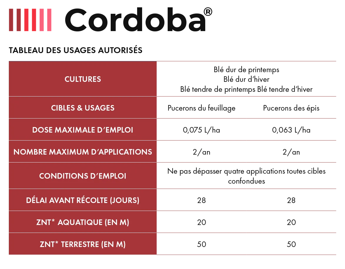 Cordoba_Cereal_1