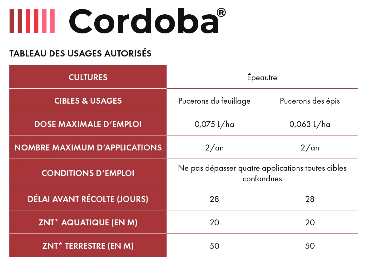 Cordoba_Cereal_2