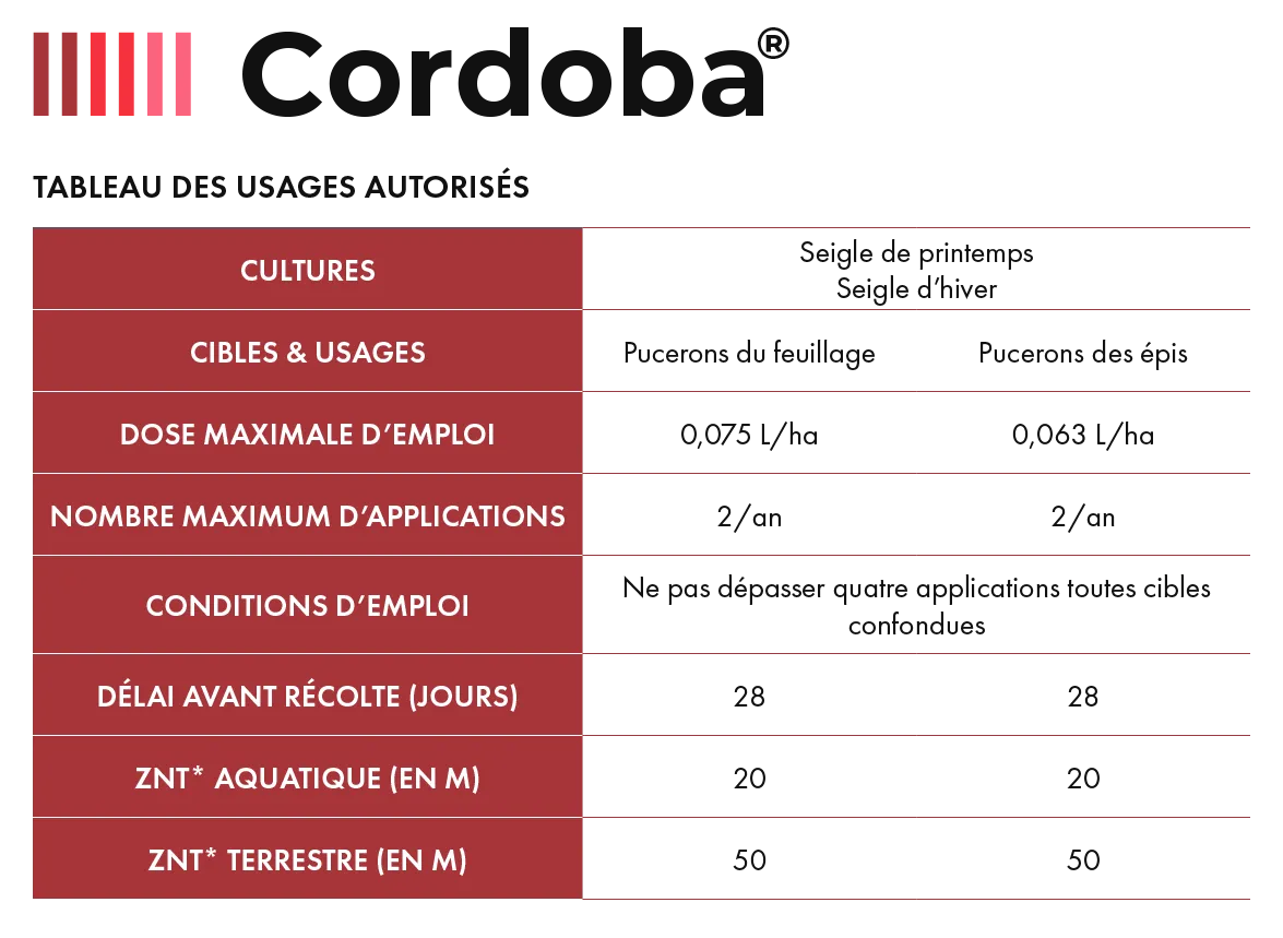 Cordoba_Cereal_6
