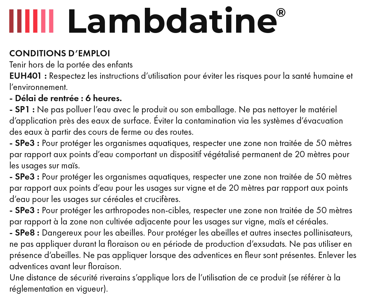 Lambdatine_10