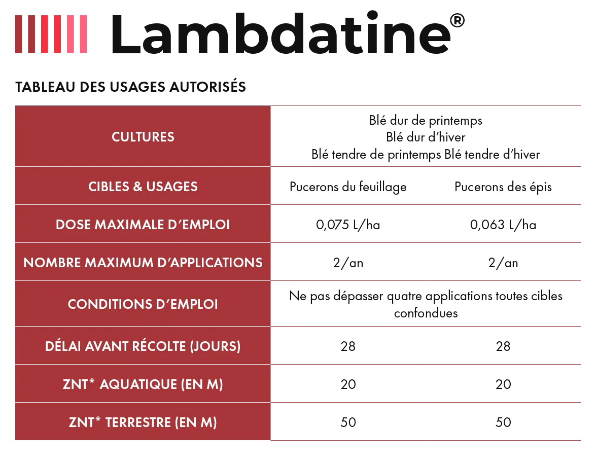 Lambdatine_1