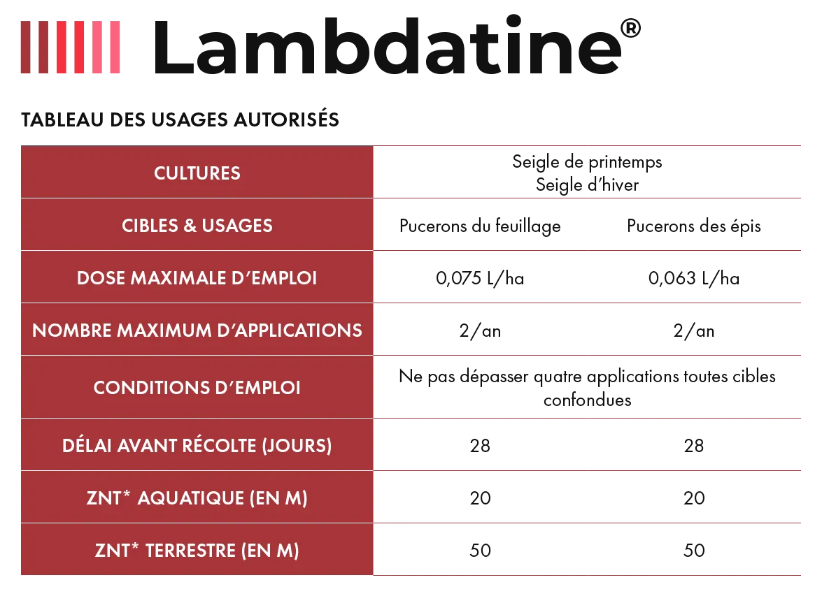 Lambdatine_6