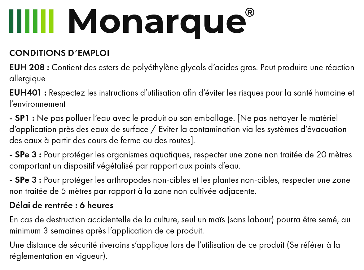 Monarque_8