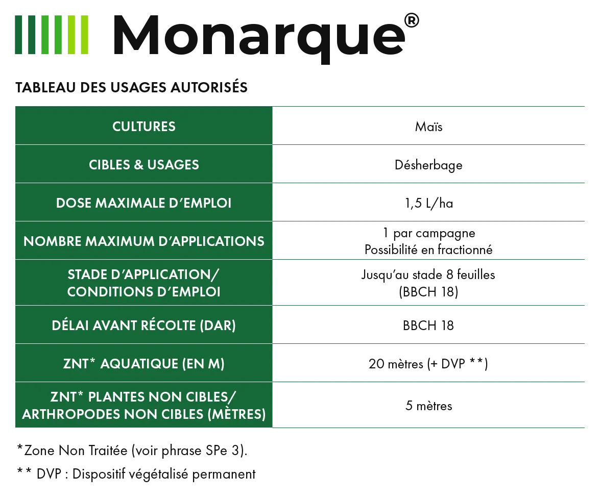 Monarque_2