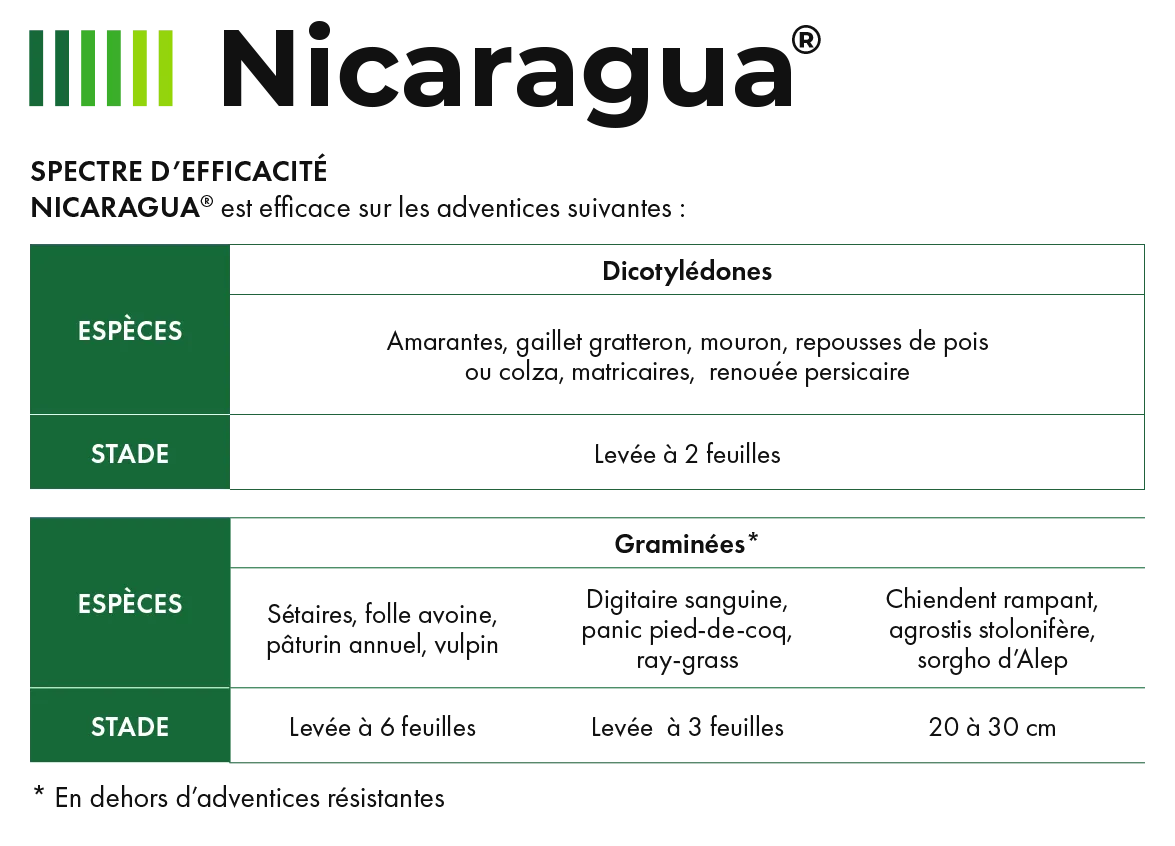 Nicaragua_4