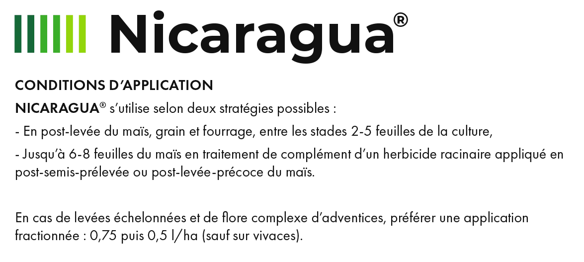 Nicaragua_6