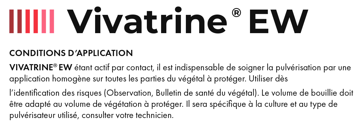 Vivatrine_16