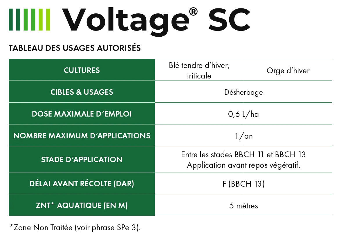 Voltage_2
